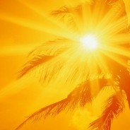 1×63: Single Point of Weather