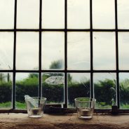 2×20: Over a Ton of Window