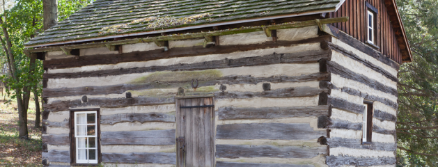 2×50: Born In A Log Cabin