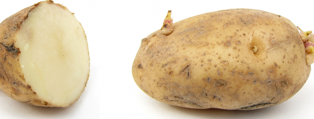 3×03: Massive Quantities of Potatoes