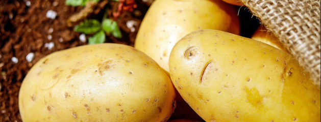 3×12: Staring at Potatoes